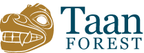 Taan Forest Limited Partnership (Taan)