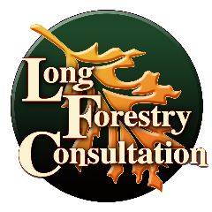 Long Forestry