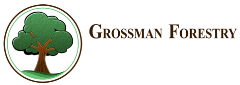 Grossman Forestry Company