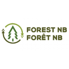 Forest NB