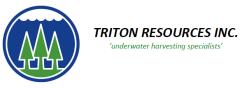 Triton Resources Inc