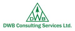 DWB Consulting Services Ltd
