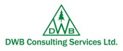 DWB Consulting Services Ltd.